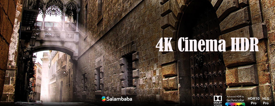تلویزیون اولد ال جی E9 - استاندارد 4K Cinema HDR